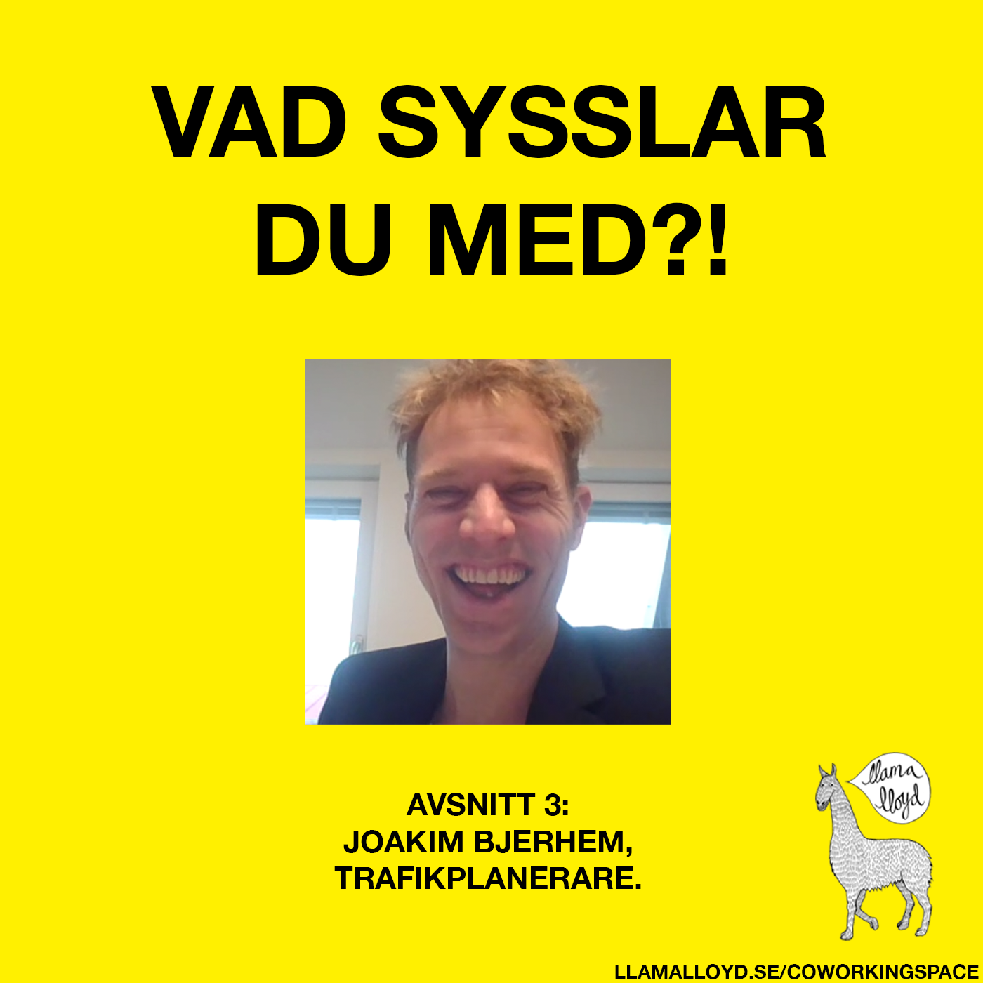 Vad sysslar du med, Joakim Bjerhem?!